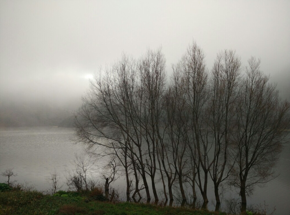 浓雾河山，轻纱木叶