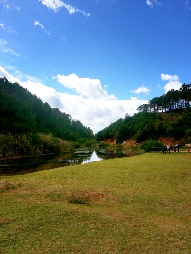 茶马古道