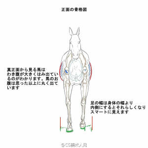 结构