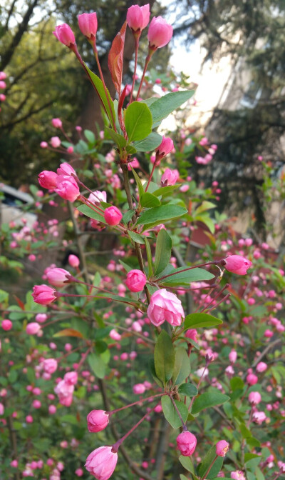 小区游园会