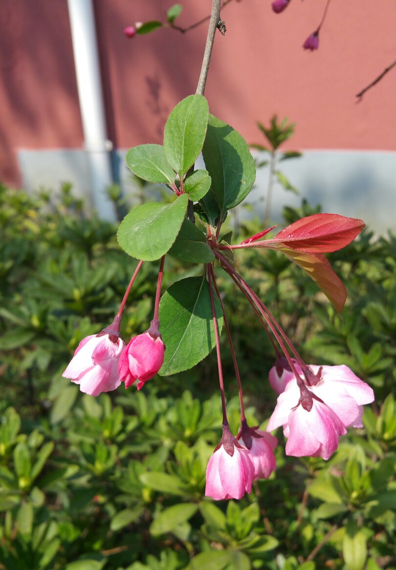 小区游园会