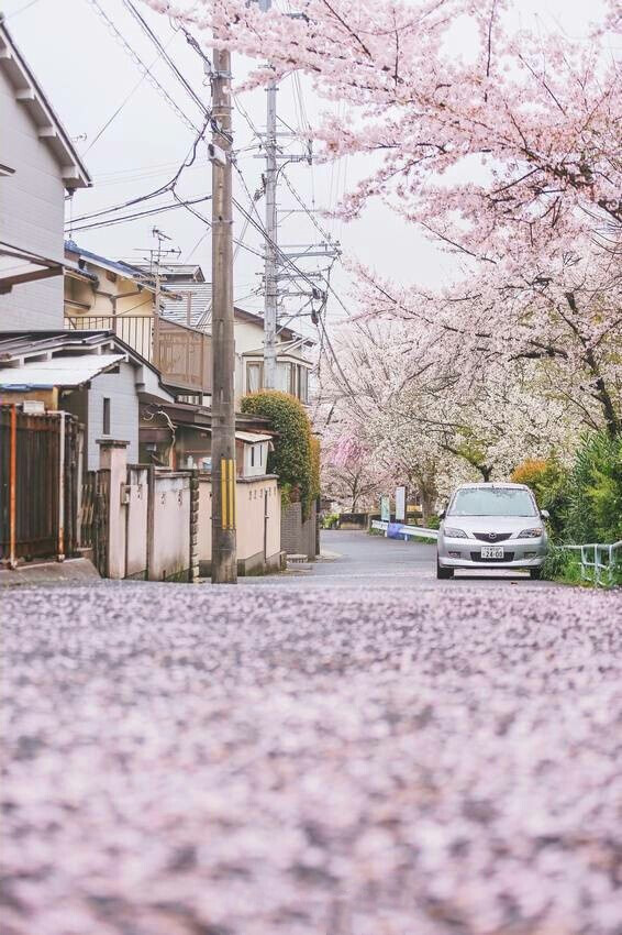 林空鹿饮溪