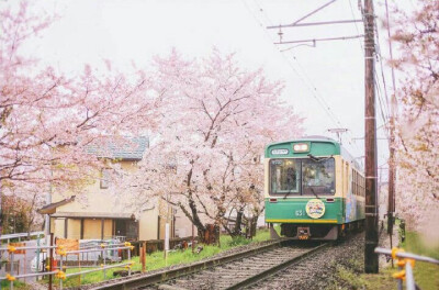 林空鹿饮溪