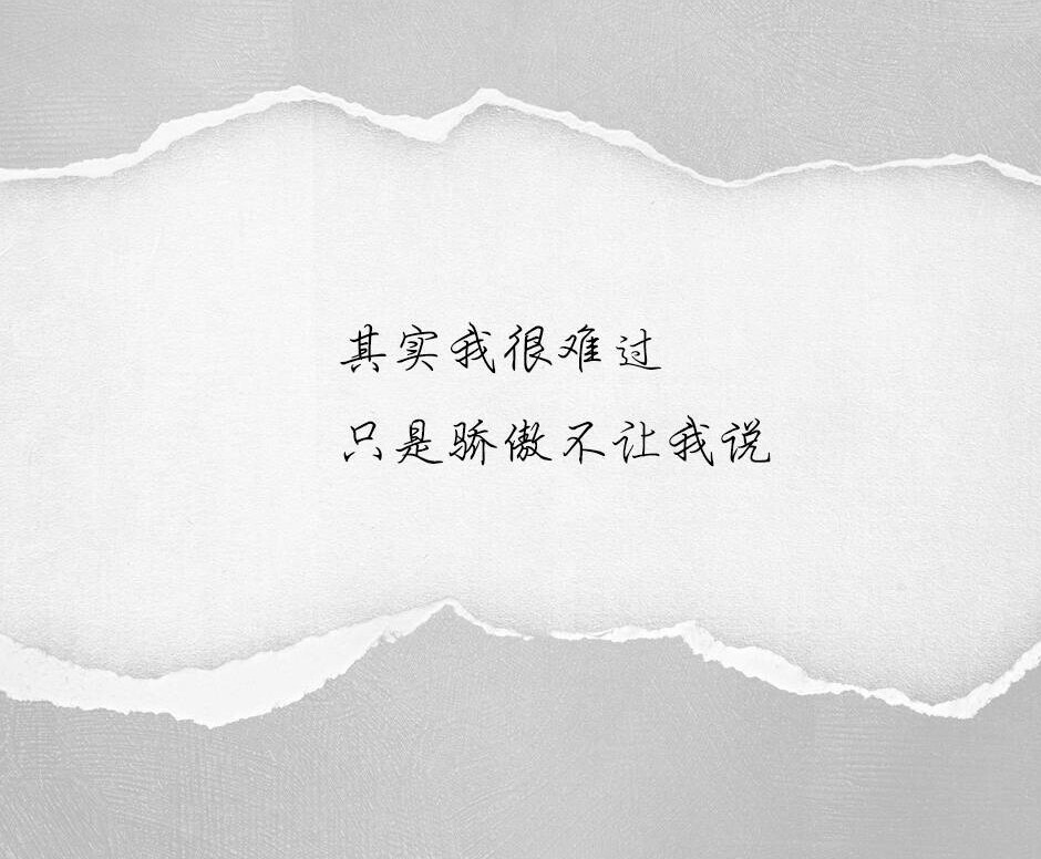 其实我很难过只是骄傲不让说