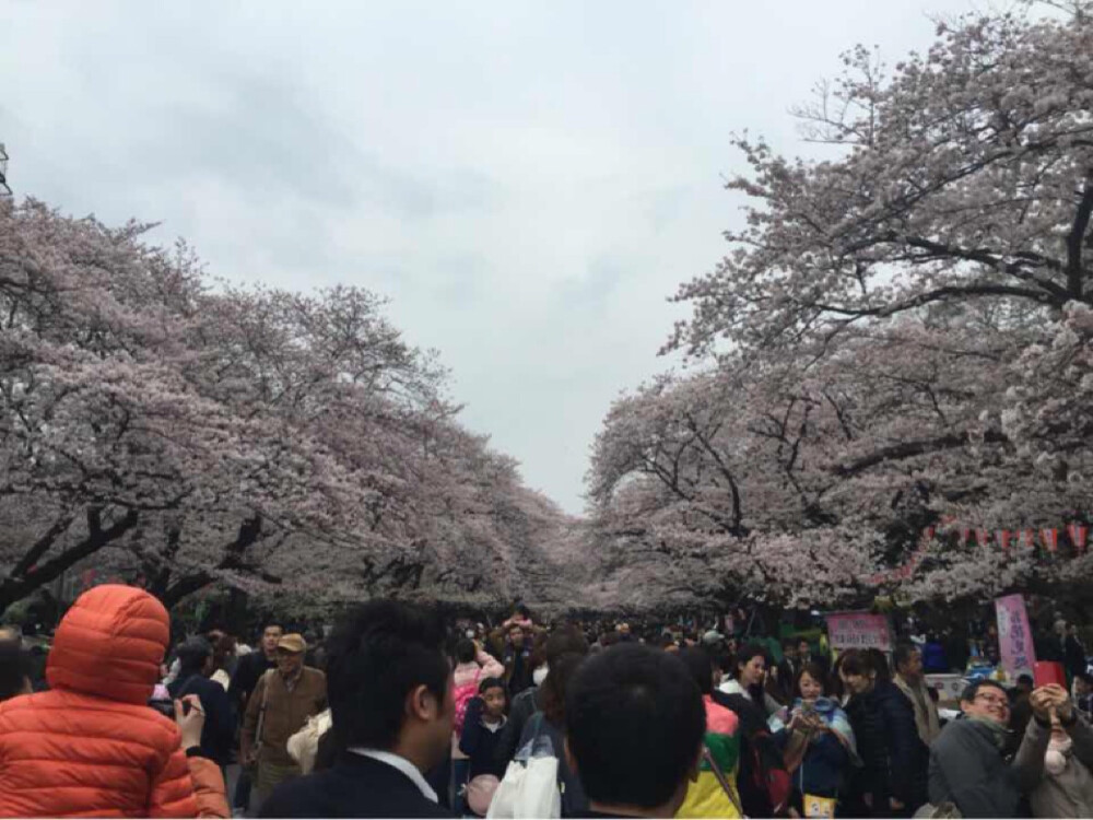 你看過的風景，來日也要看一遍