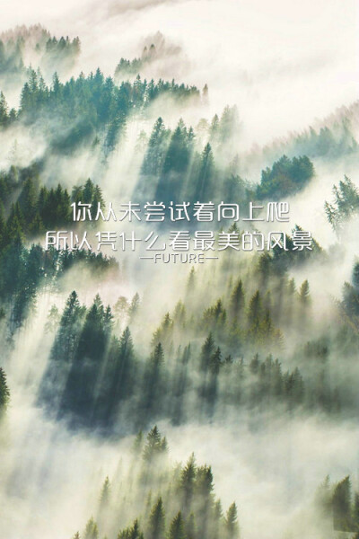 Future：原创 希望大家喜欢^_^ 喜欢就收藏把 更多图片详见《Future ▪ 一记深刺》‖锁屏壁纸皮肤‖纯文字‖原创美图‖简约‖Future‖