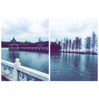 东湖公园＃清明#