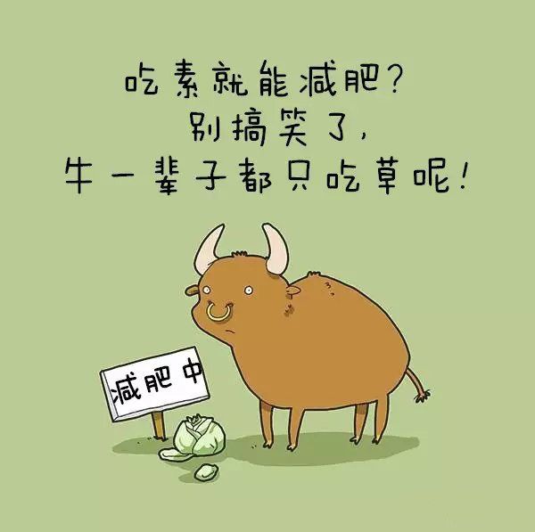 趣味文字图片