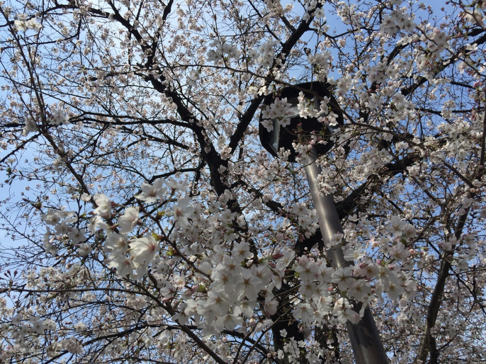 京都.