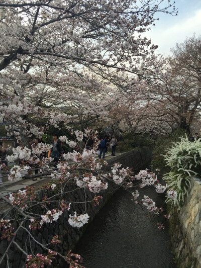 京都.