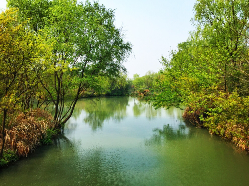 西溪湿地