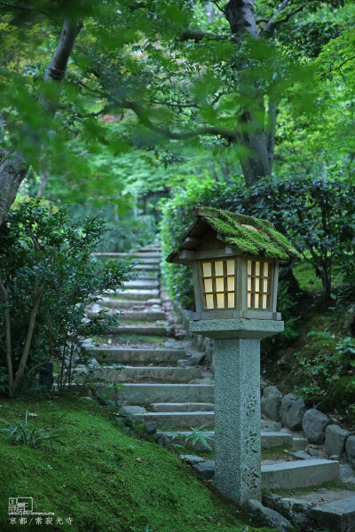 京都 常寂光寺