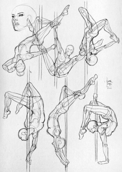 [肢体动作] 舞蹈&武术运动人体解剖速写