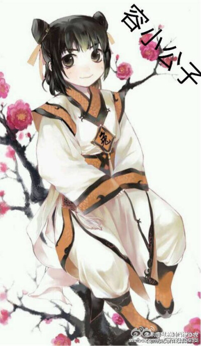 容凌 纨绔世子妃 萌