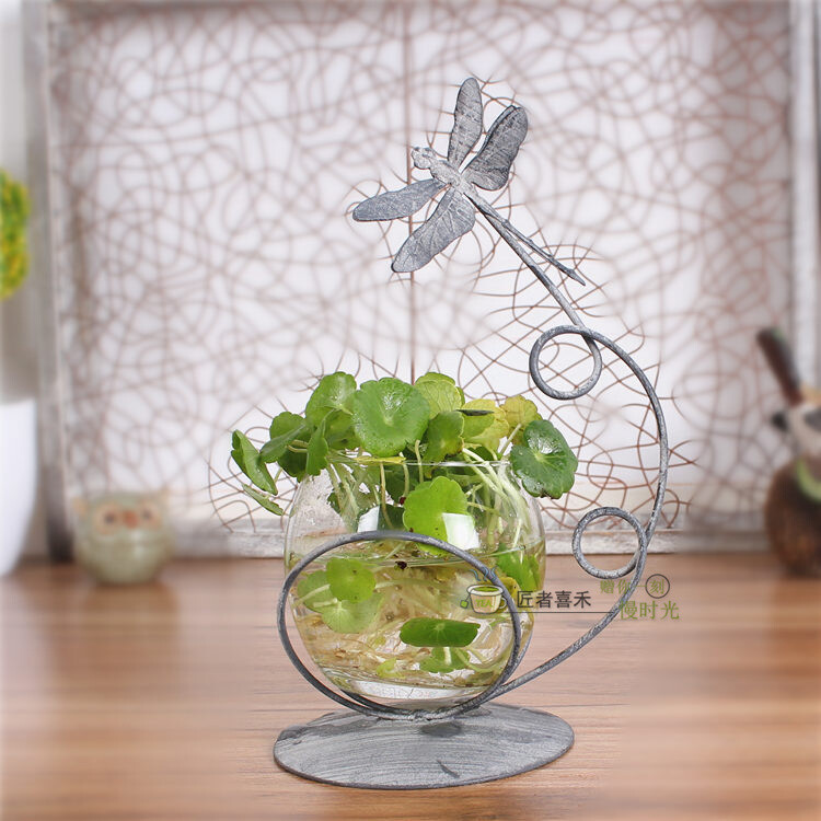 田园乡村铁艺家居摆件复古蜻蜓桌面摆设铜钱草水培器皿透明玻璃杯