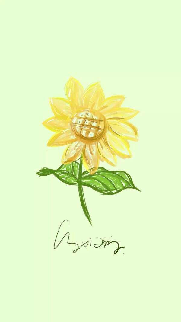 sunflower