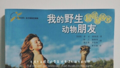 我的野生动物朋友