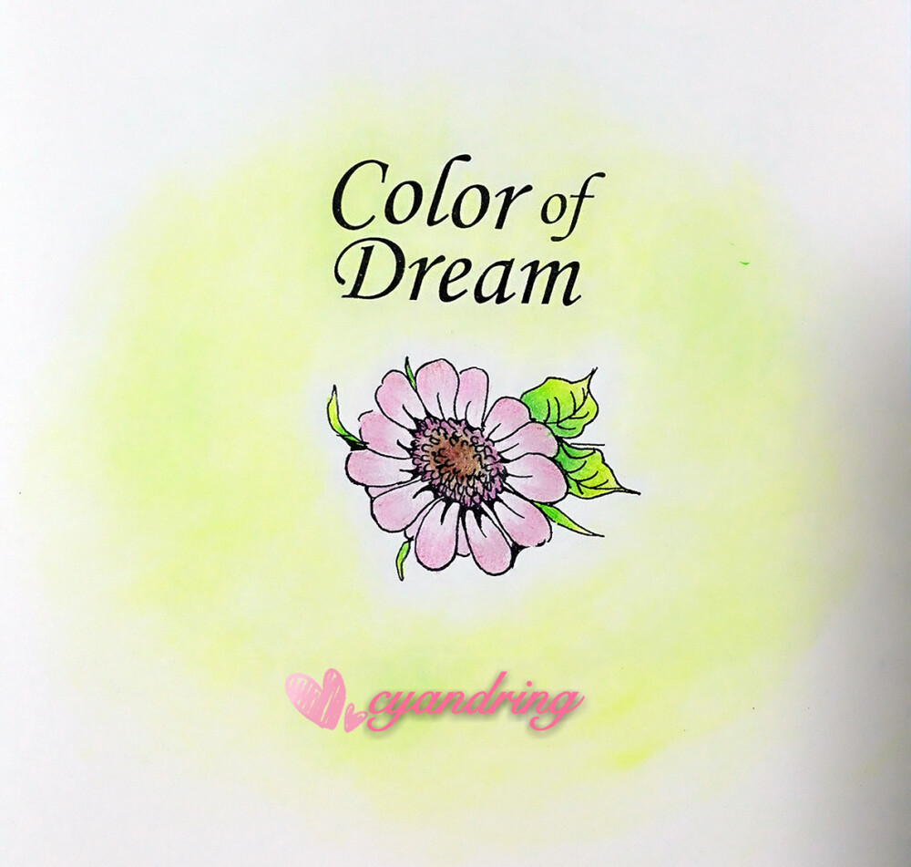梦想的颜色
