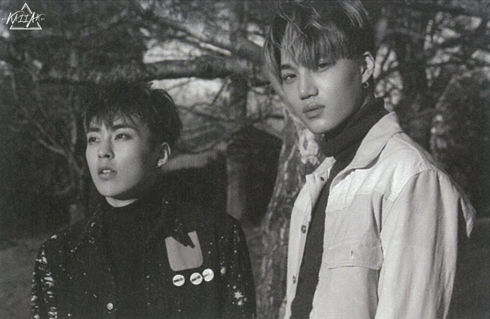 xiumin&kai