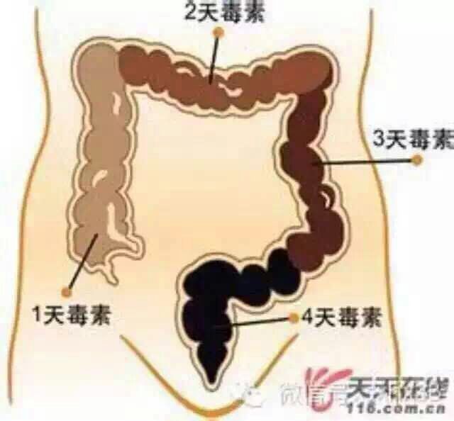 普及一下吃果果后的几种反应:
第1种拉肚子拉稀✅说明肠道有害细菌多，有肠炎
第2种微疼或很疼✅牵扯到肠绒毛、毒素很多
第3种放屁多✅说明肠道缺氧。
第4种肚子胀✅说明体内浊气多。
第5种不排✅说明肠道益生菌少，肠干。
第6种口干舌燥✅嘴唇爆裂，大量毒素排至肝脏，
小伙伴们请对号入座，不要说你吃一两天没有排便就说果果没有效果，每个人的体质都不一样噢！[微笑][微笑]