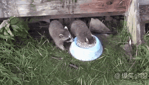 不许和我抢吃的，劳资都要憋死啦。哈哈哈哈好萌的干脆面