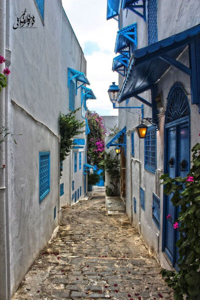 Sidi Bou Said, Tunisia#路#唯美 小清新 治愈 大气磅礴 摄影 人物 植物 怀旧 封面 风景