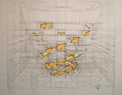 “艺术与数学” 极为壮观的绘画作品。如果要用数学模型来描述我们的世界，对于3D软件来说是简单的。而委内瑞拉艺术家 Rafael Araujo 却在绘图桌上用铅笔、直尺和量角器，精妙的呈现复杂的螺旋三维空间和蝴蝶运动数据…