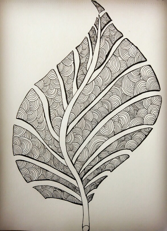 leaf