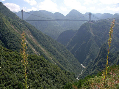 飞龙在天凌空渡 世界高桥排行榜