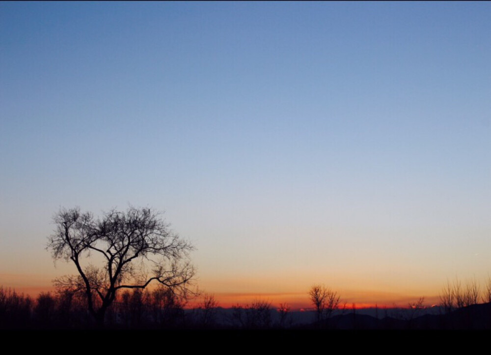 你在夕阳下面回头望，脸庞美的像花朵一样