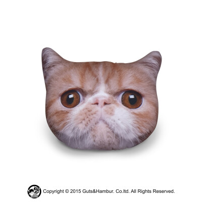 原创猫咪抱枕3D猫头喵星人靠枕汽车家居沙发必备情人节礼物包邮