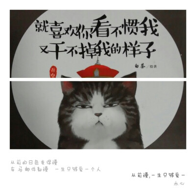 就喜欢你看不惯我，又干不掉我的样子