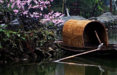 一片桃花一片春，夜来风雨落纷纷。多情更逐东流去，还作高唐梦里人。