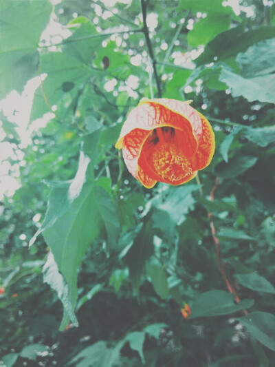  一个人的执念，只能靠一个人肃清。