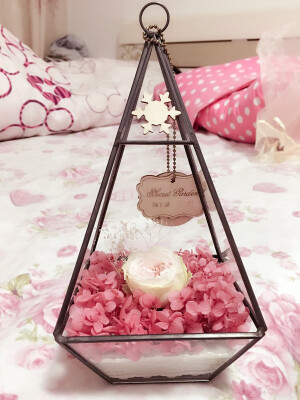 暖叔叔的日常小惊喜