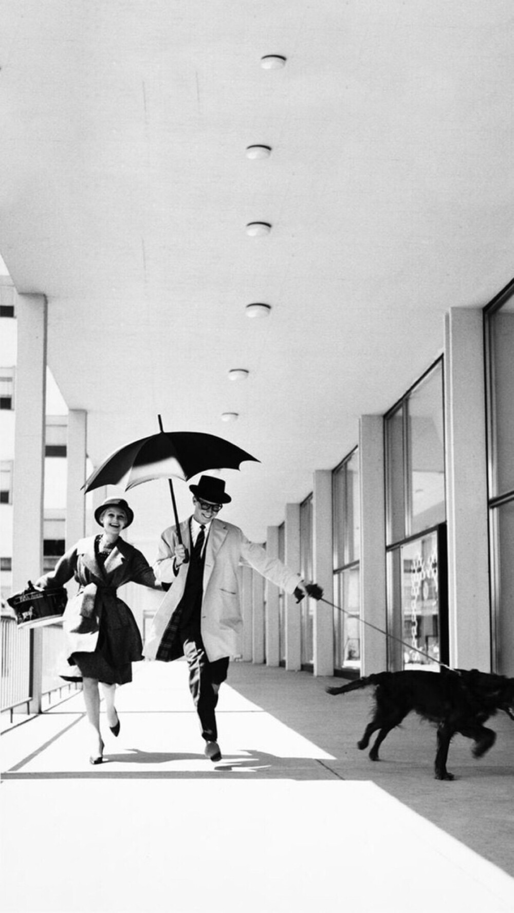 这个世界上根本就不存在“不会做”这回事，当你失去了所有的依靠的时候，自然就什么都会了。