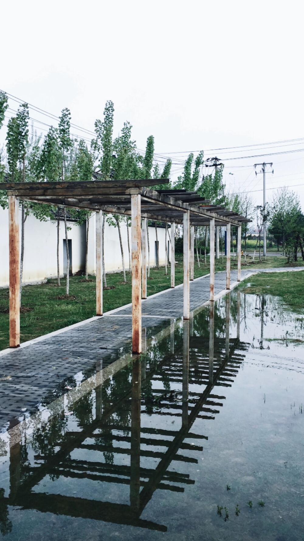 雨后风景