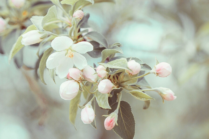 喜欢的摄影作品