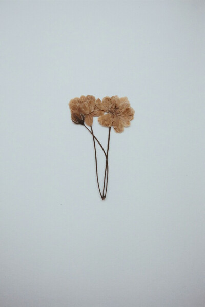 曾梦想仗剑走天涯，看一看世间的繁华。