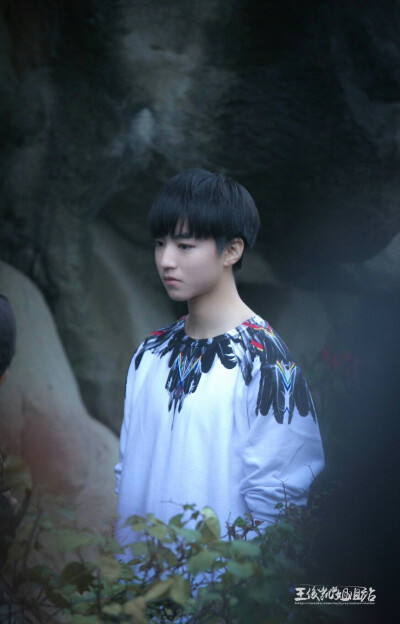 TFBOYS 王俊凯