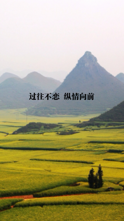 原创 自制 壁纸 背景 文字 禁止加水印修改