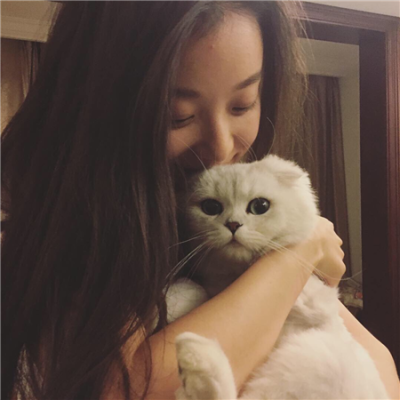 抱猫女头