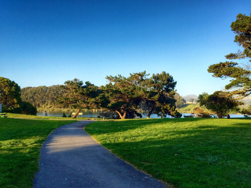 Harding park