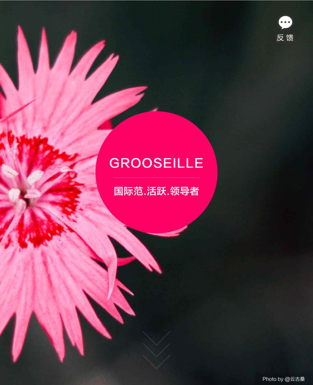 淘宝色彩购——GROOSEILLE（醋栗）