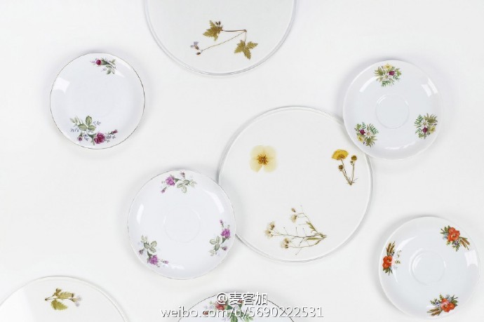 Evergreen Platters：美艳不可方物的点心盘——利用干花技术，将刚采摘的植物的鲜活永远保存下来，并把这些干花植物夹在两片玻璃之间，制作成独一无二的动人玻璃盘。