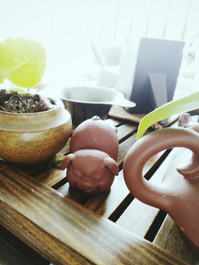 我以为这样就能闯遍天涯海角。