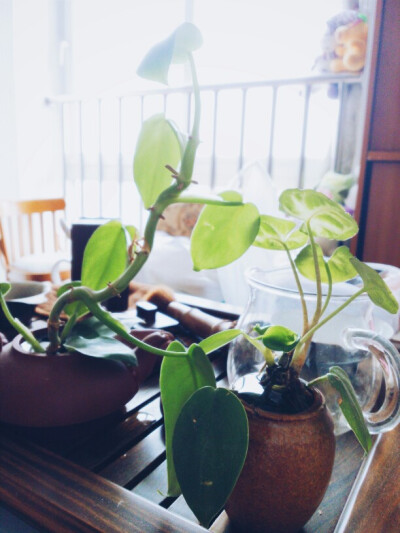 我以为这样就能闯遍天涯海角，