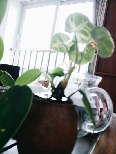 我以为这样就能闯遍天涯海角。