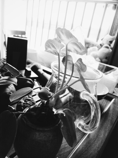 我以为这样就能闯遍天涯海角。