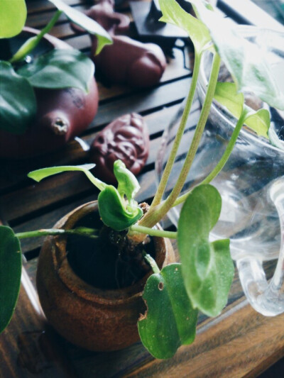 我以为这样就能闯遍天涯海角。